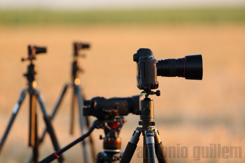 Photo and video cameras on tripods