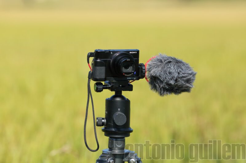 Camara de video con deadcat en medio de un campo en una sesion de microstock