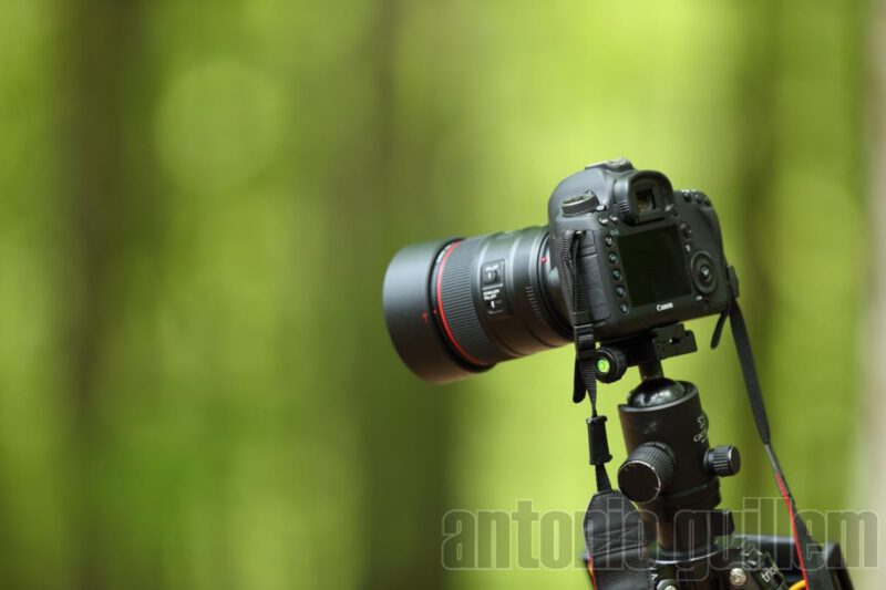 Camara fotografica Canon 5D mkII preparada para una sesion de microstock