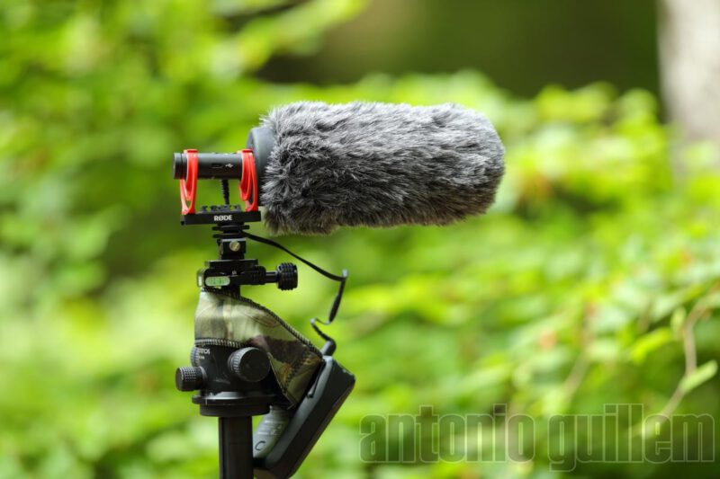 Microfono unidireccional rode NTG con deadcat preparado para grabar making of de sesion de stock